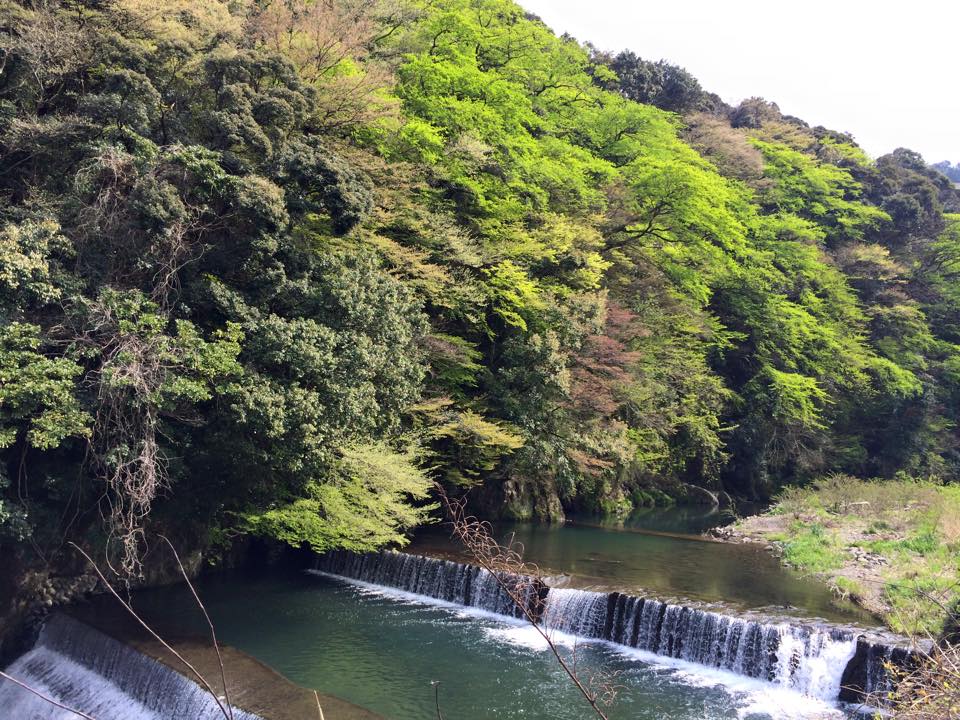 お気に入りの散歩道