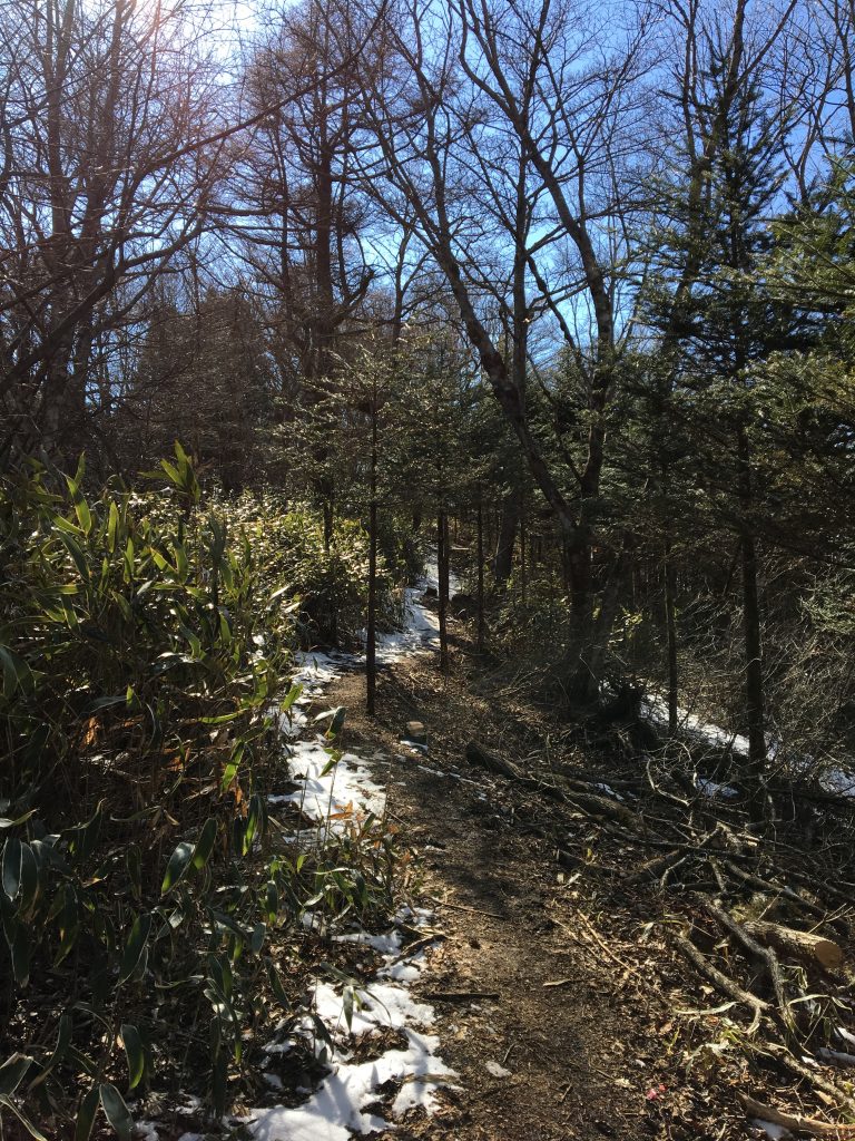 石割山トレイルの残雪