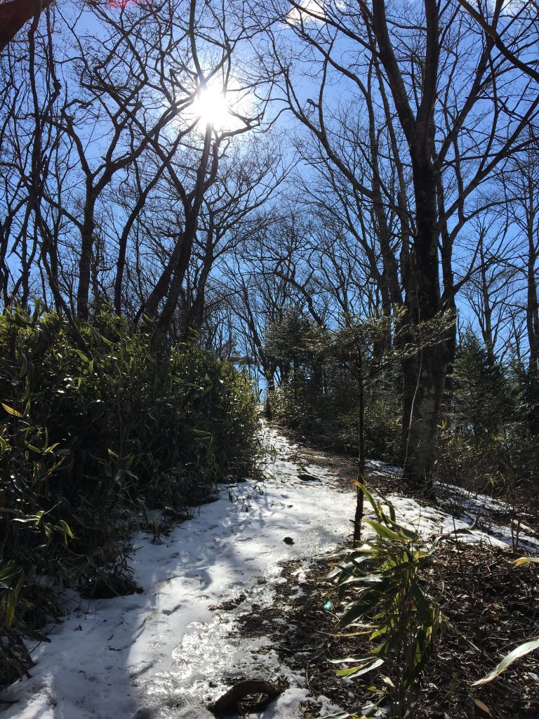 石割山トレイルの残雪その２