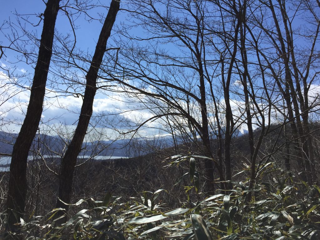 石割山トレイルと富士山