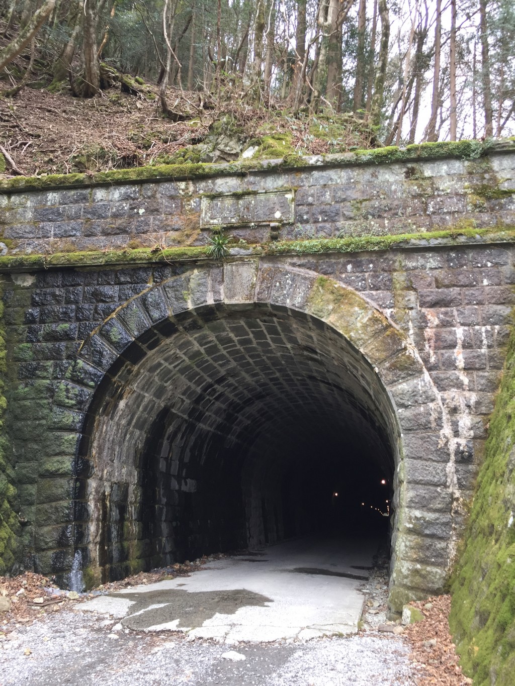 旧天城トンネル出口