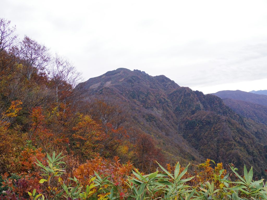 八海山トレイル1