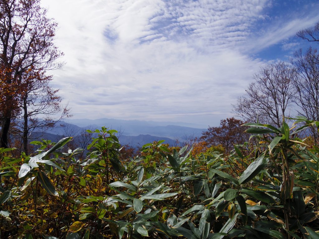 八海山トレイル3