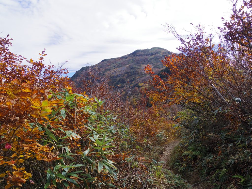 八海山トレイル4