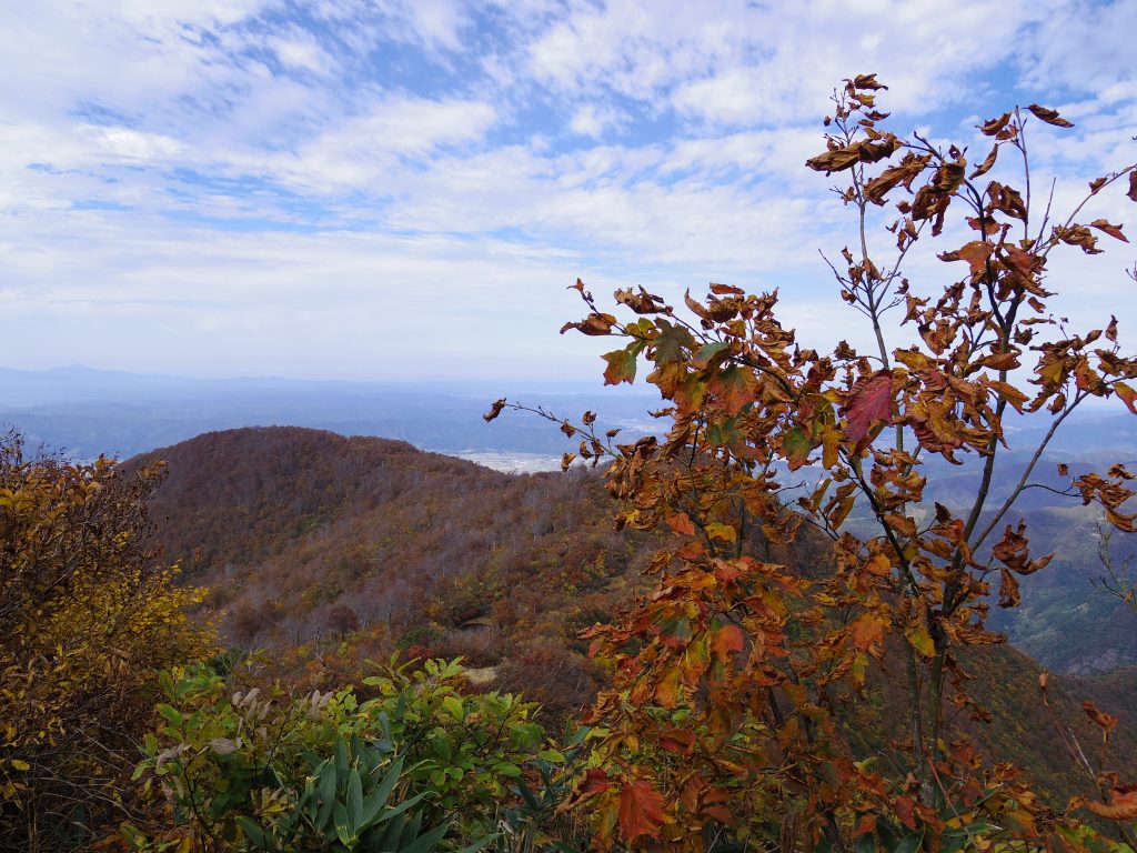 八海山の紅葉