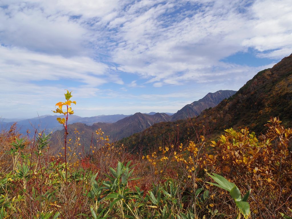 八海山の紅葉と青空
