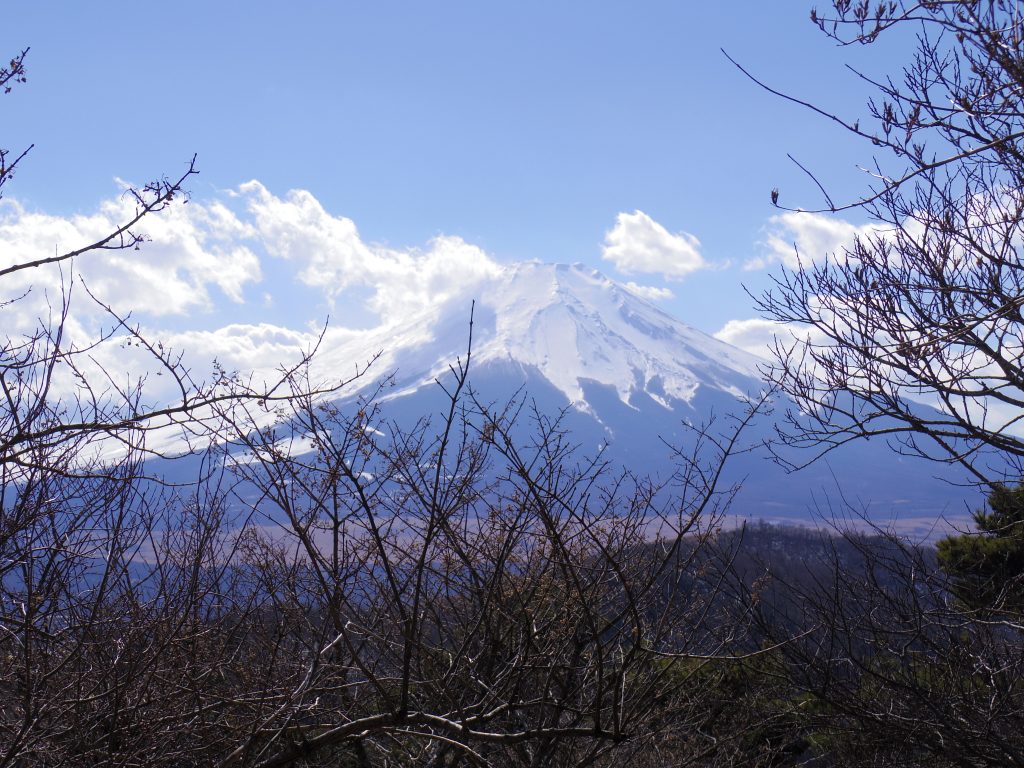 平尾山トレイルと富士山