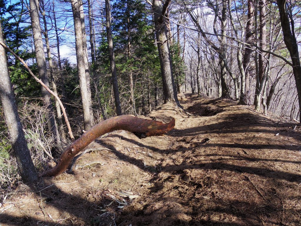 平尾山トレイル