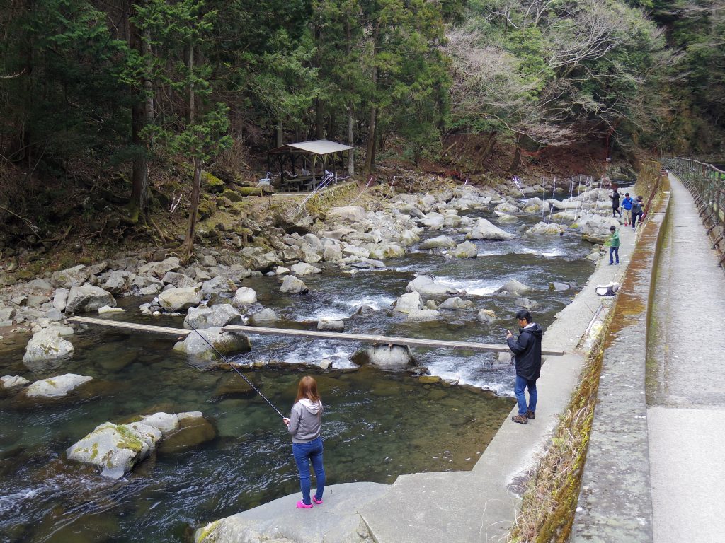 鮎釣り