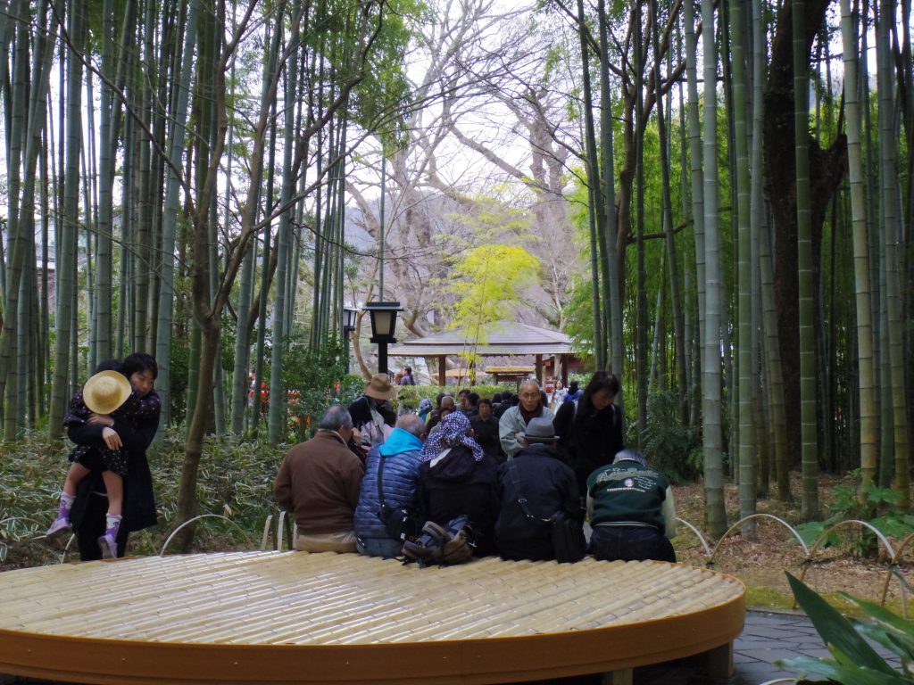 竹林の小径広場