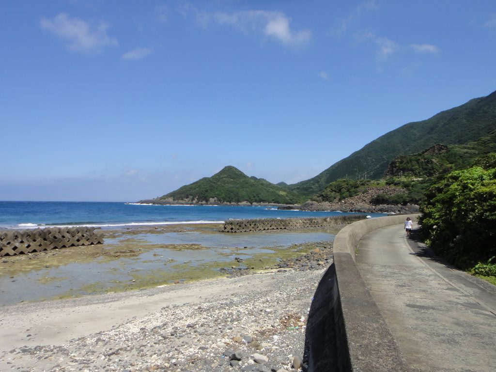 志戸子ガジュマル公園前の海岸