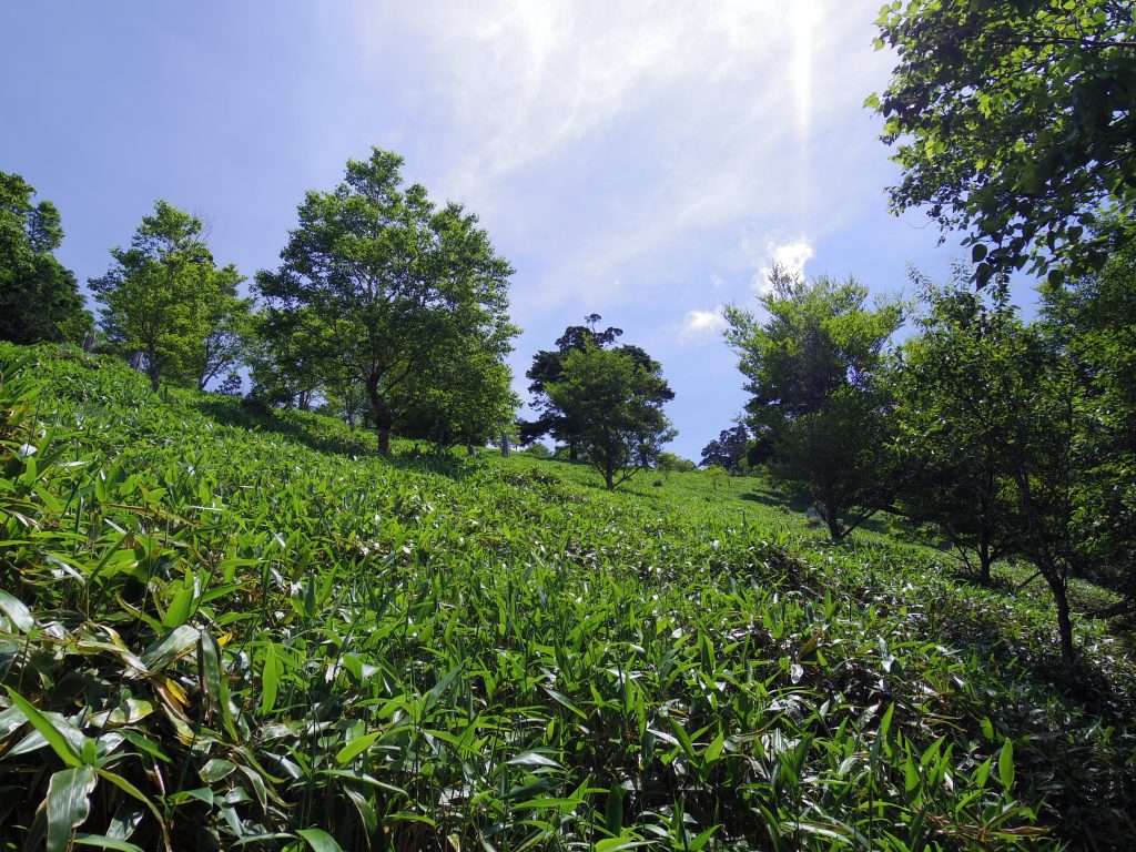 剣山トレイルと太陽