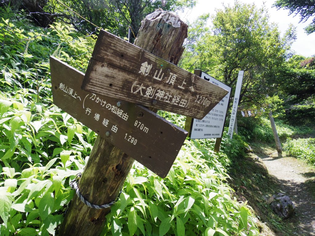 案内板