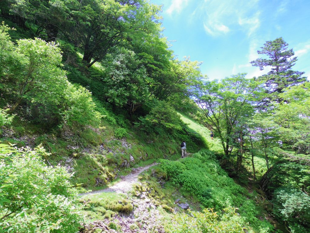 剣山トレイル