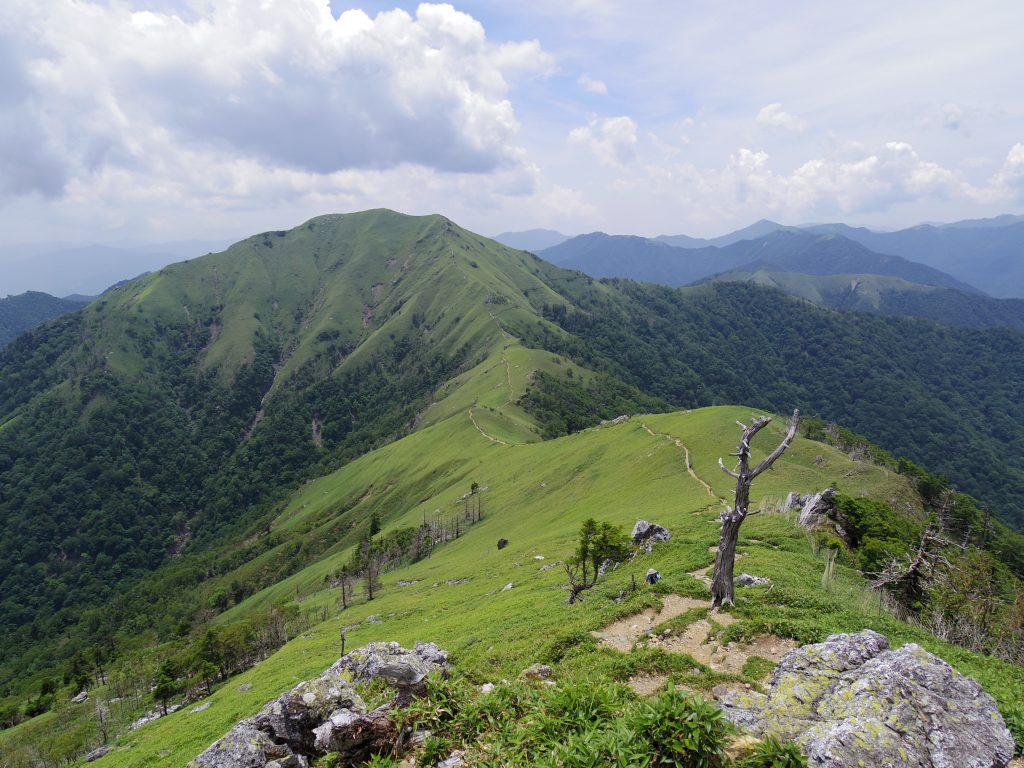 次郎笈への尾根道