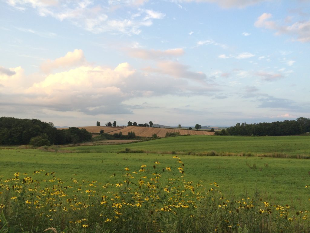 スプウン谷のザワザワ村の風景