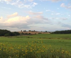 スプウン谷のザワザワ村の風景