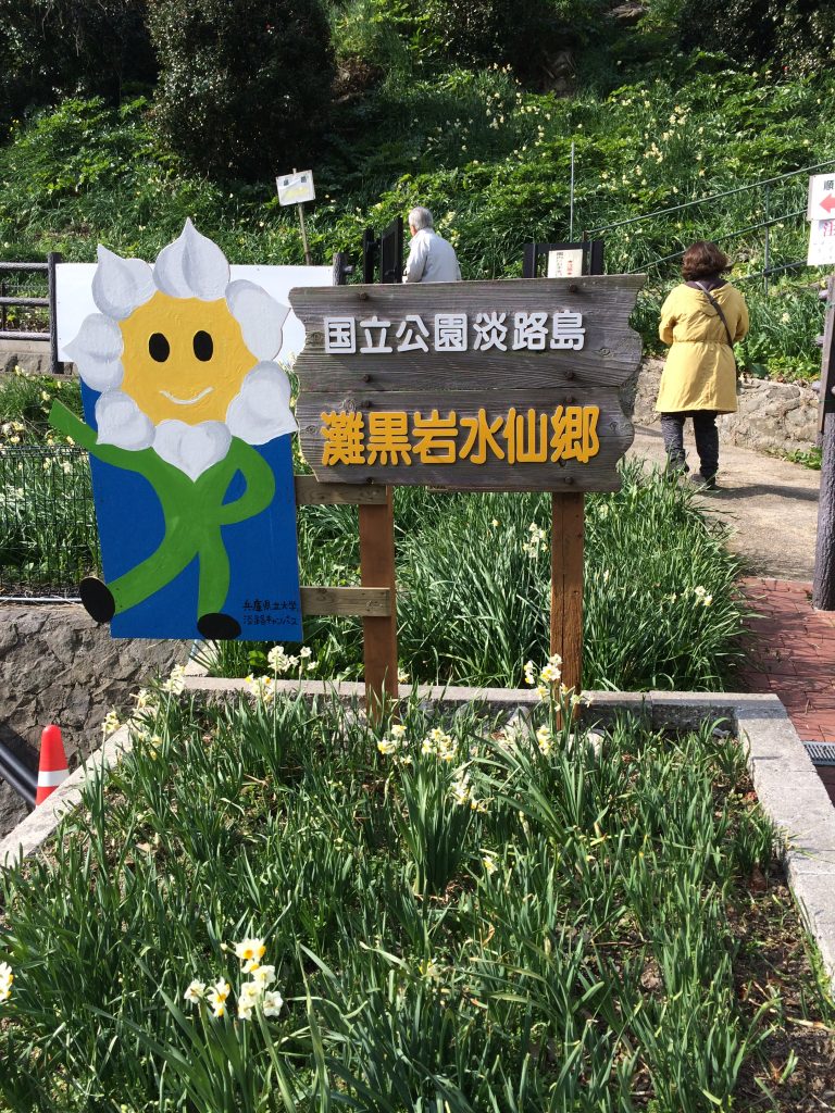 国立公園淡路島灘黒岩水仙郷