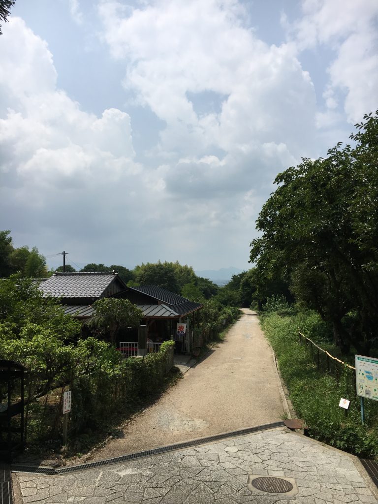 山の辺の道と雲