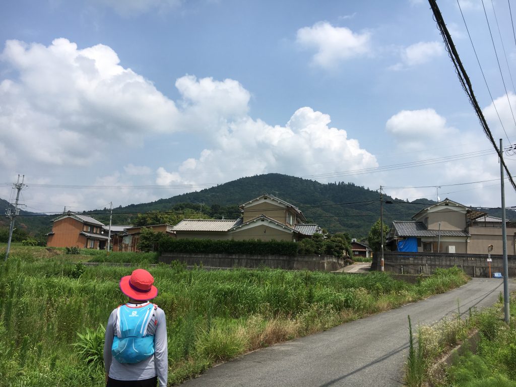 山の辺の道からの三輪山遠望