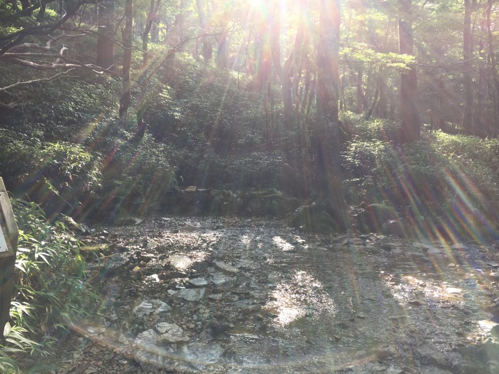 大台ケ原が育む恵みの水