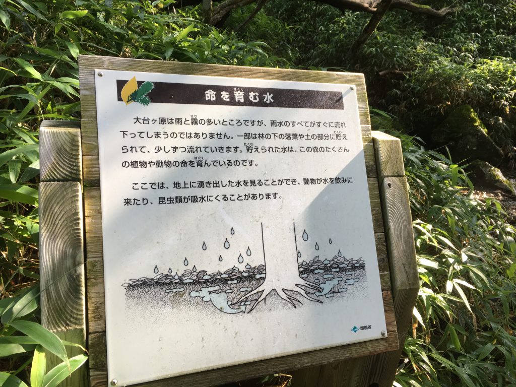 命を育む水