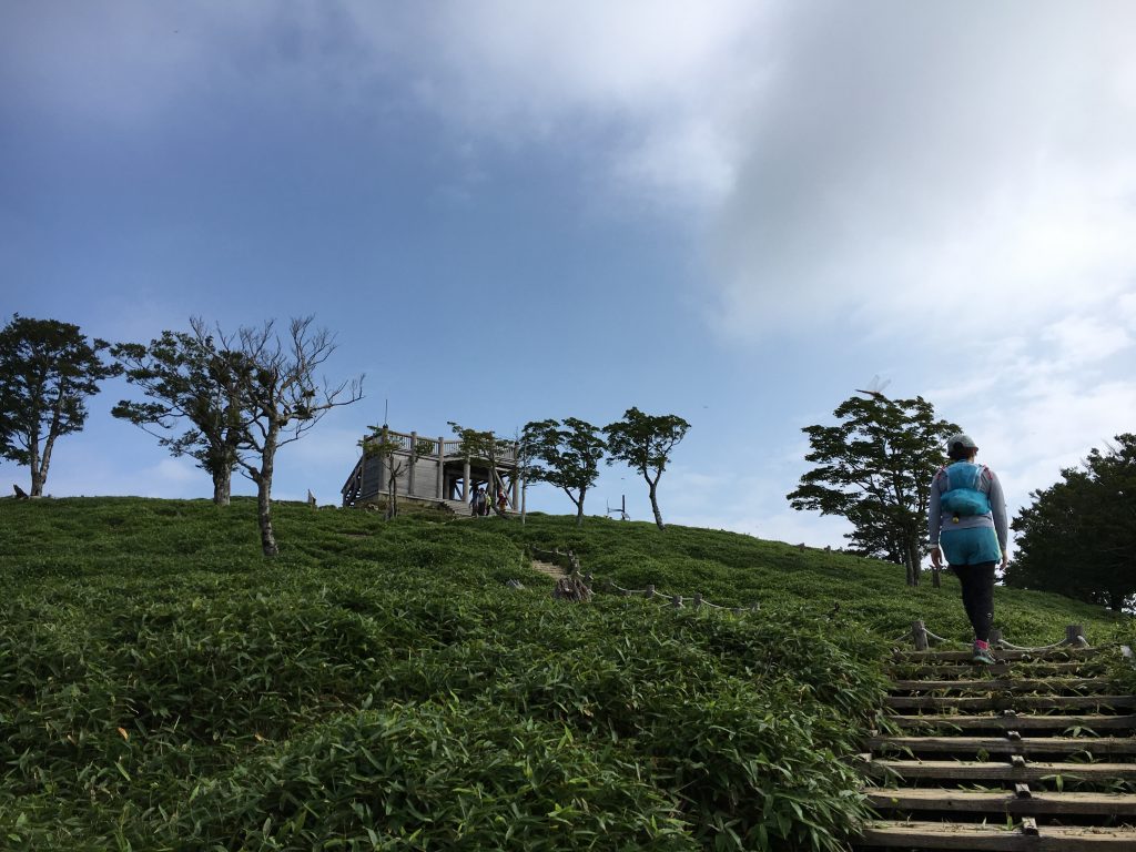 日出ヶ岳山頂付近