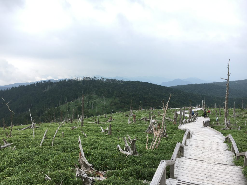 正木峠その2