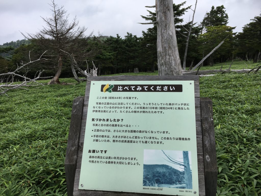 正木ヶ原の伊勢湾台風案内板