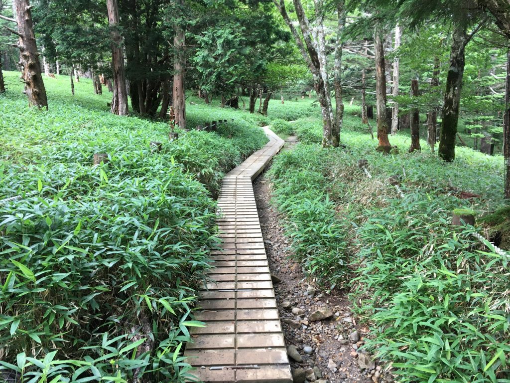 大台ケ原の木道