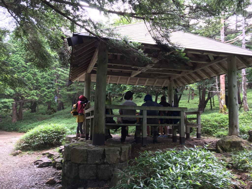 尾鷲辻