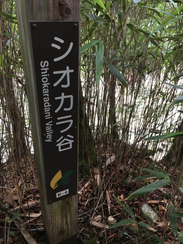 シオカラ谷の看板