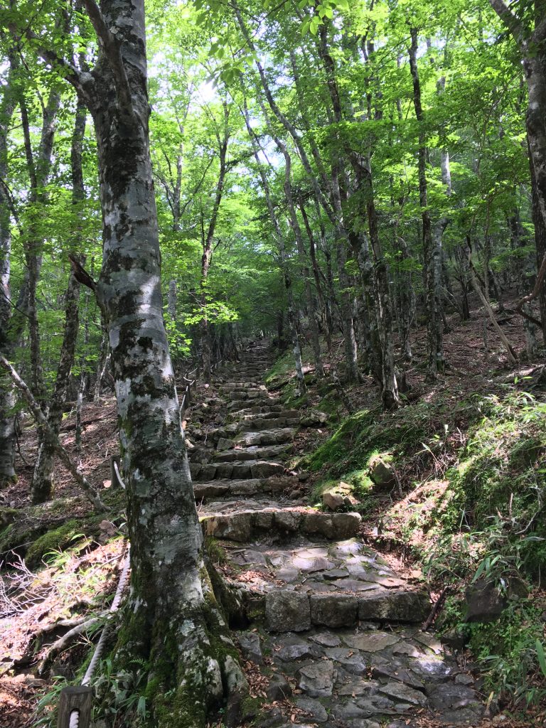 急坂その2