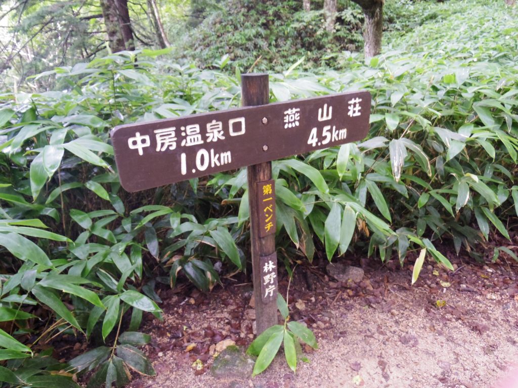 第一ベンチ