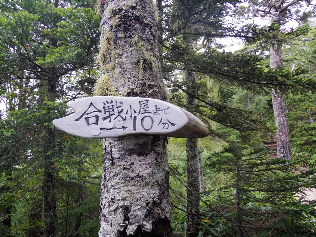 合戦小屋まであと10分