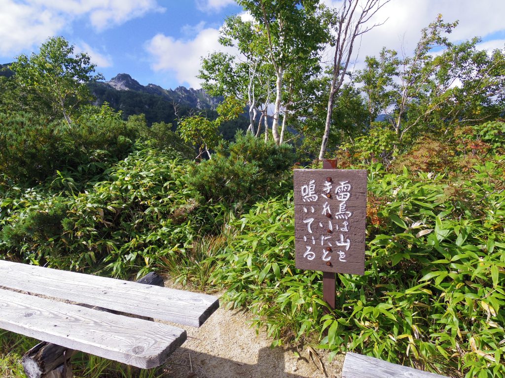 山頂付近のベンチ