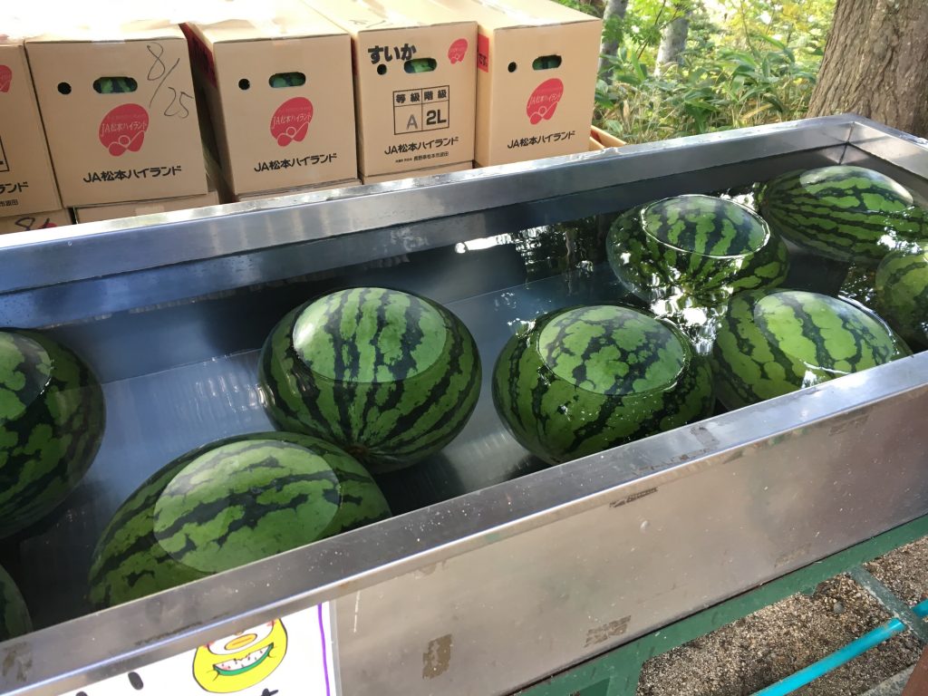 合戦小屋のスイカ