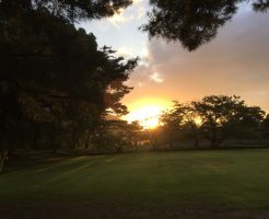 出雲大社の朝日