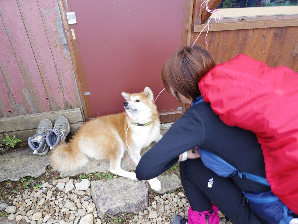 妻と犬