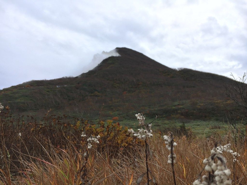 お花畑からの磐梯山