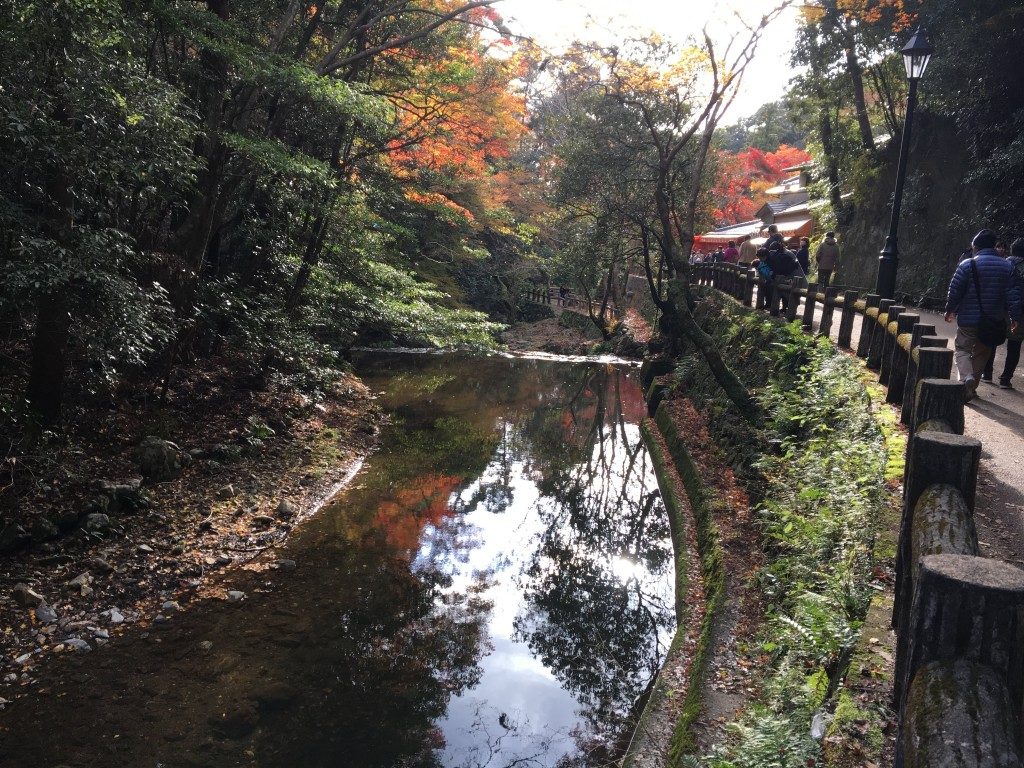 水面に映る紅葉