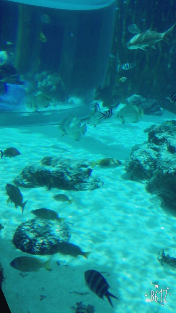 水族館