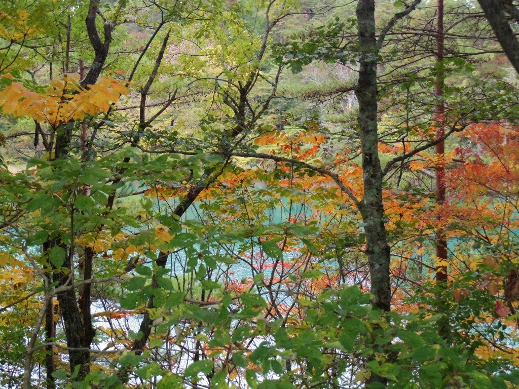 毘沙門沼の紅葉