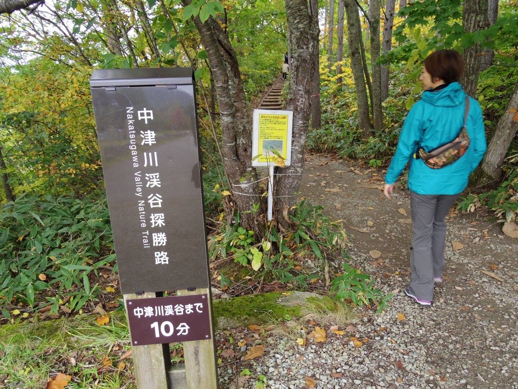 中津川渓谷探勝路