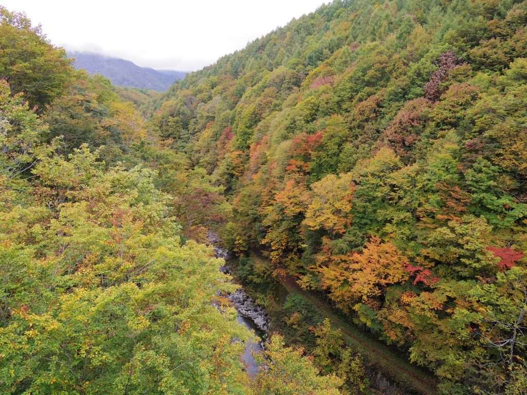 中津川橋からの紅葉