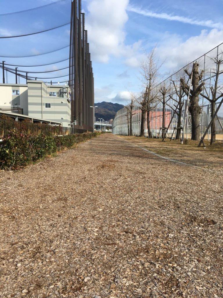 ウッドチップランニングコース