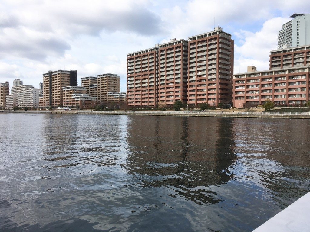 海