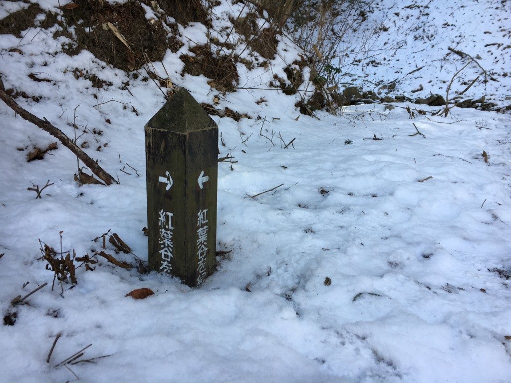 雪に埋もれた案内標識