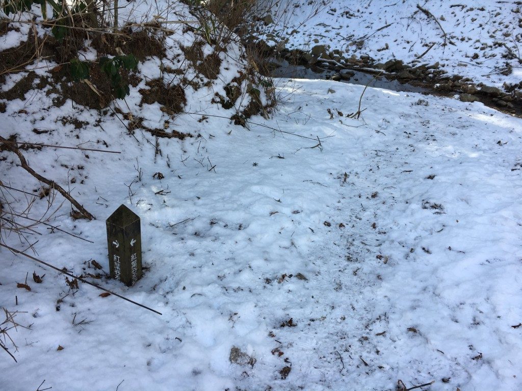 積雪