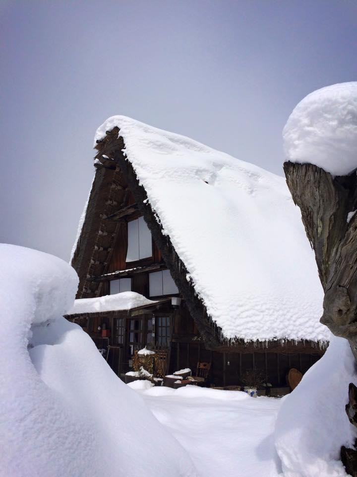 雪景色